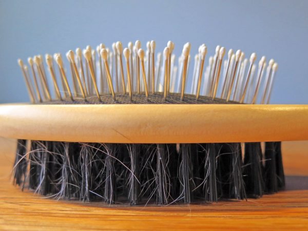 Dog hair comb